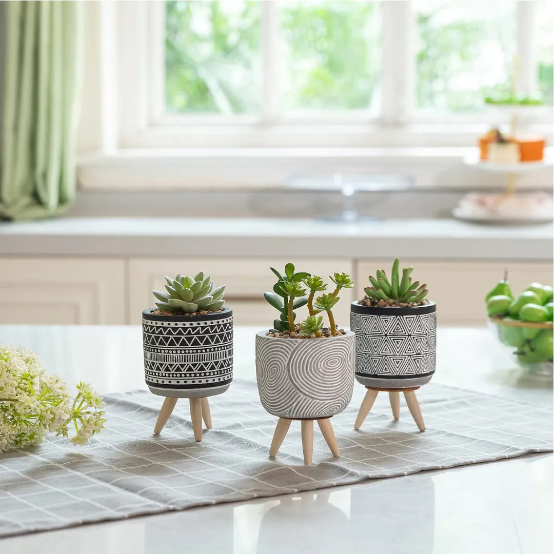 3 Pcs Indoor Artificial Succulent Cactus Plant in Pot Set with Stand for Office Home Bohemian Modern Style