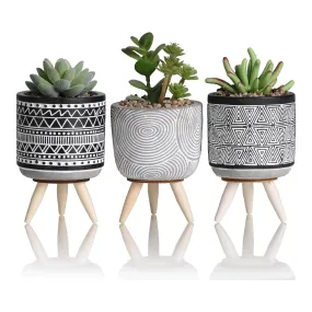 3 Pcs Indoor Artificial Succulent Cactus Plant in Pot Set with Stand for Office Home Bohemian Modern Style