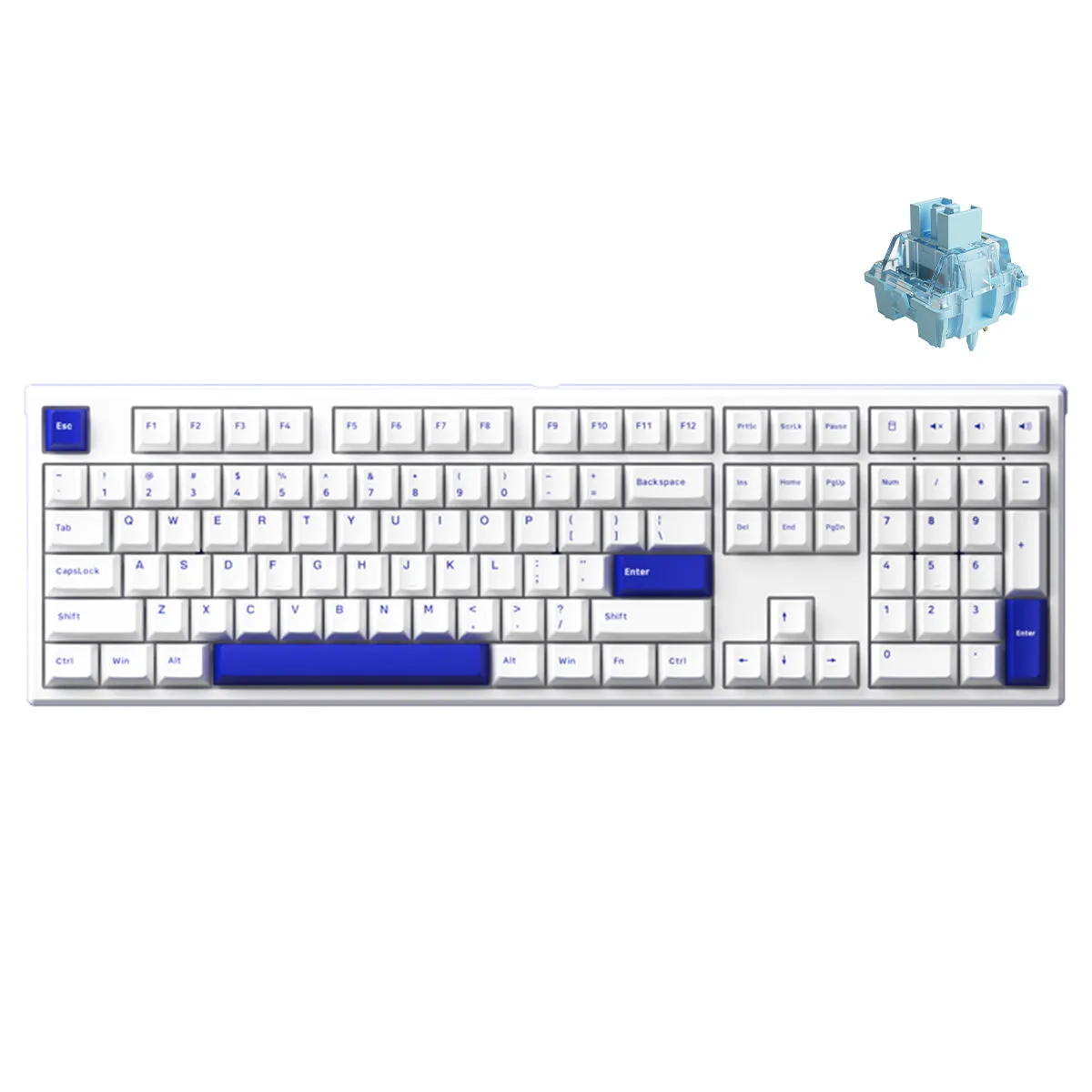 Akko MG108B Blue On White Multi-Mode RGB Hot-Swappable Mechanical Keyboard (V3 Cream Blue Pro)