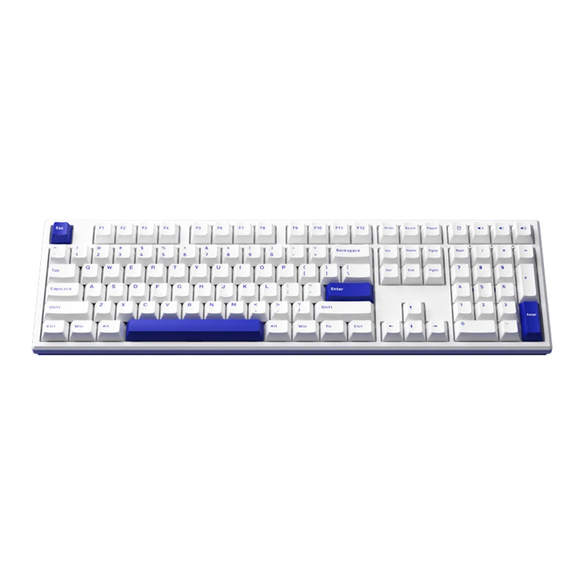 Akko MG108B Blue On White Multi-Mode RGB Hot-Swappable Mechanical Keyboard (V3 Cream Blue Pro)