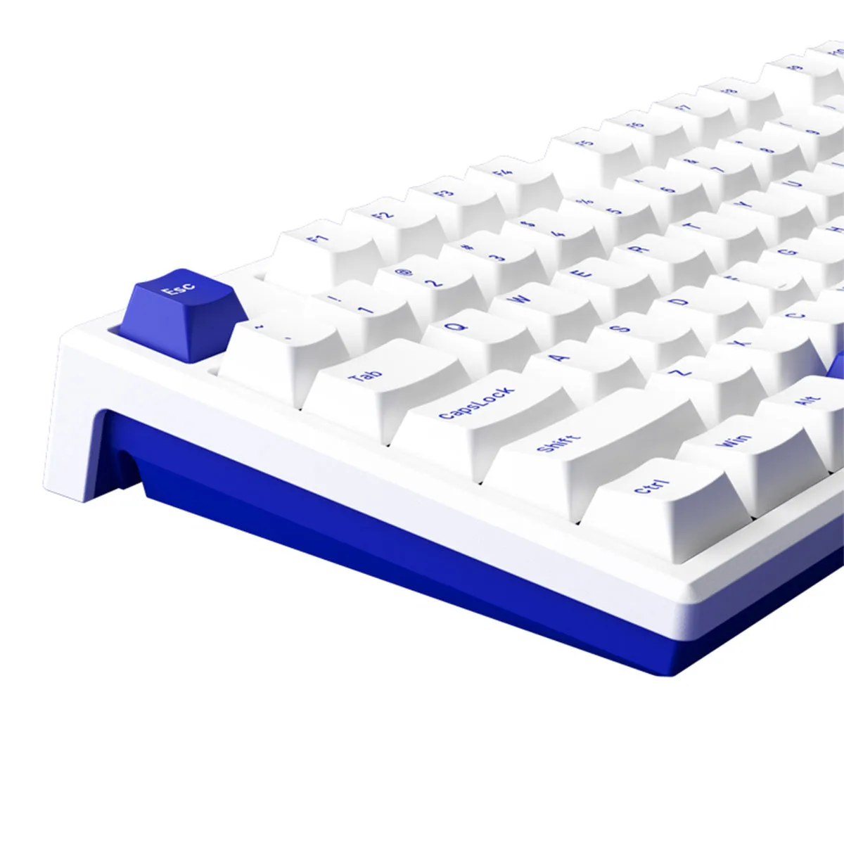 Akko MG108B Blue On White Multi-Mode RGB Hot-Swappable Mechanical Keyboard (V3 Cream Blue Pro)