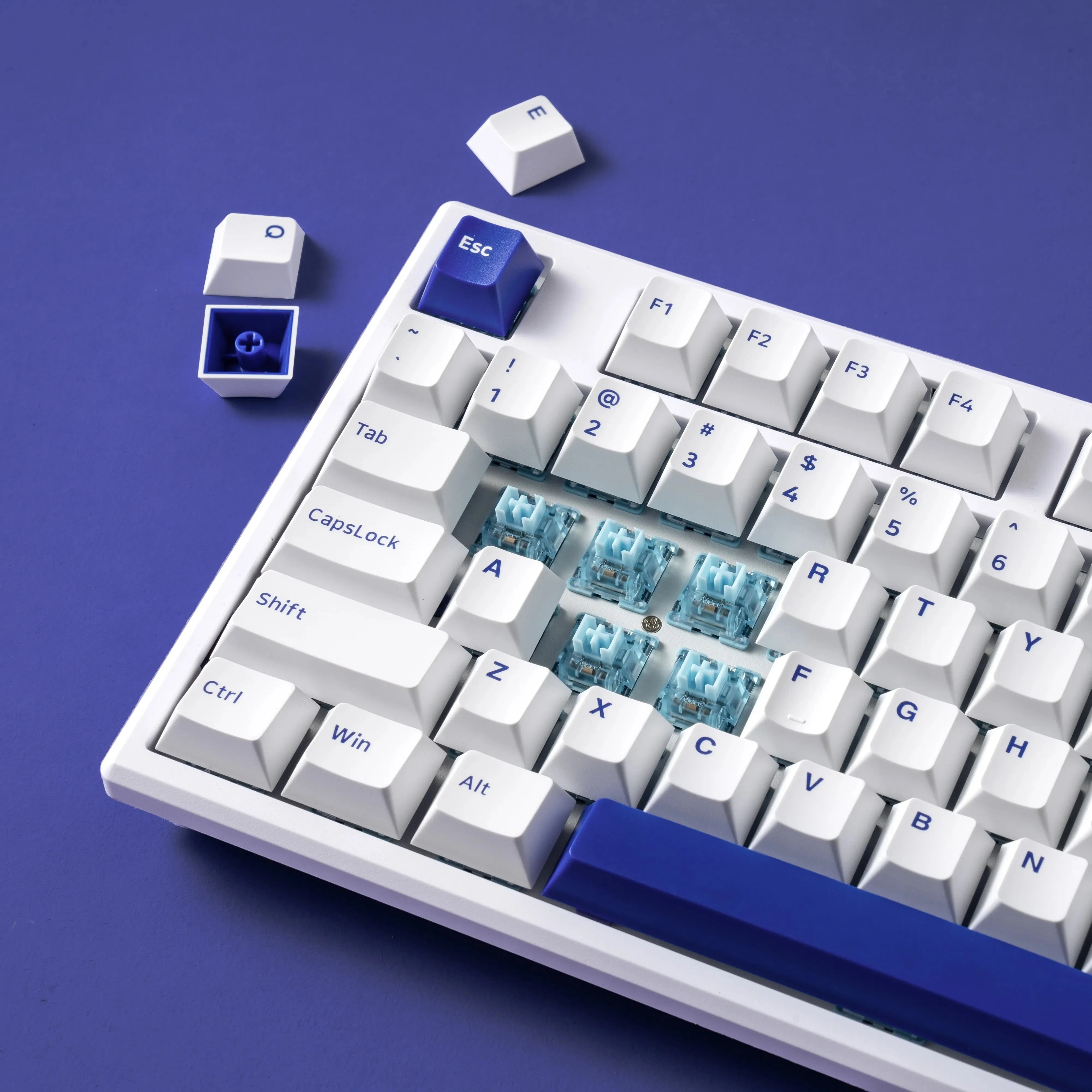 Akko MG108B Blue On White Multi-Mode RGB Hot-Swappable Mechanical Keyboard (V3 Cream Blue Pro)