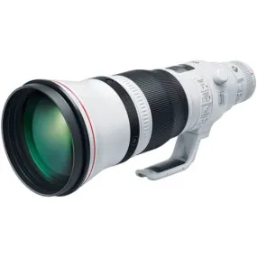 Canon EF 600mm F/4L IS III USM Lens