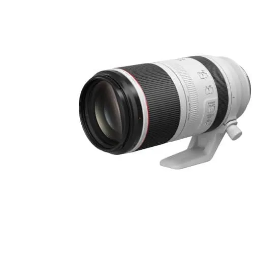 Canon RF 100-500mm f/4.5-7.1 L IS USM