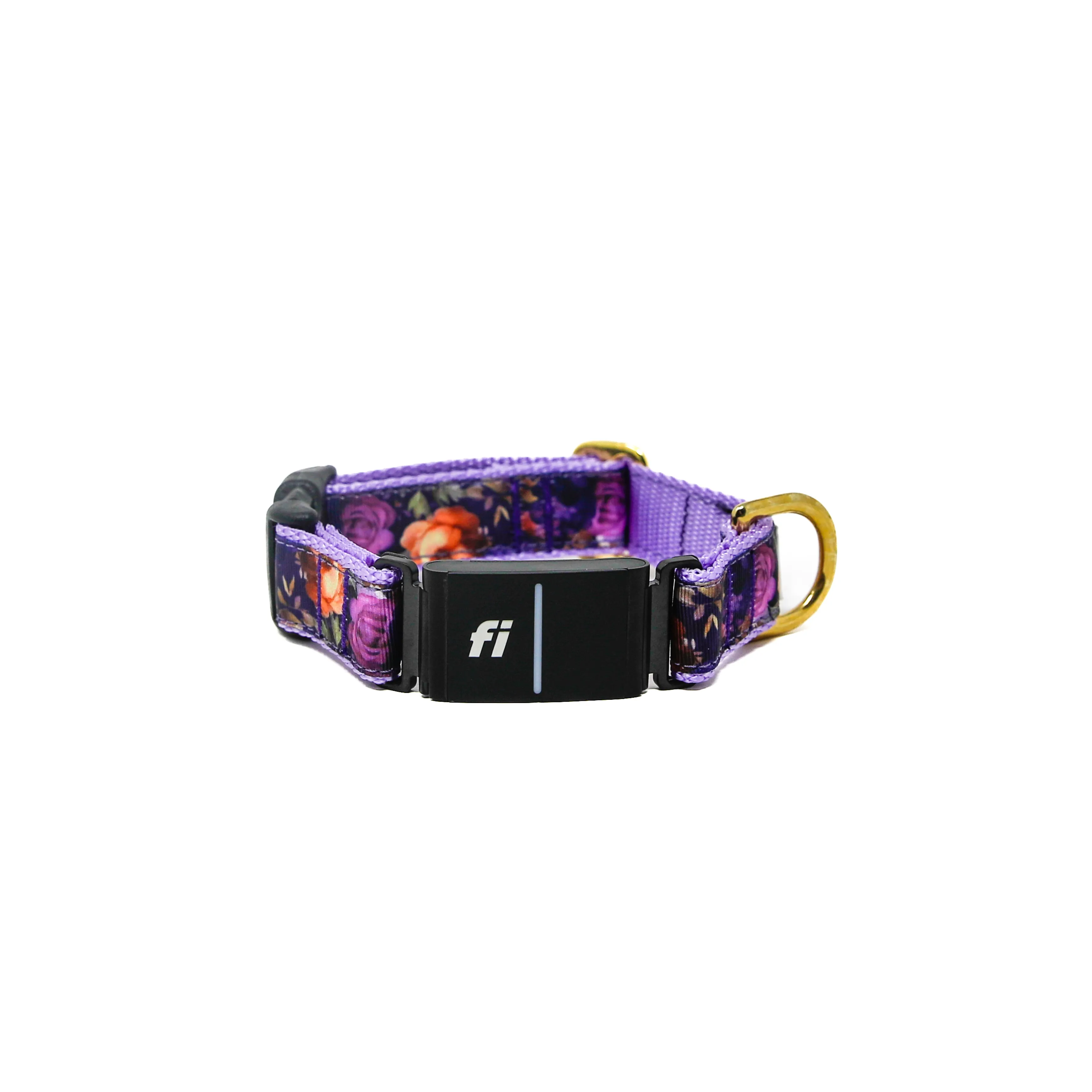 Fi Collar Band - Primrose Pup