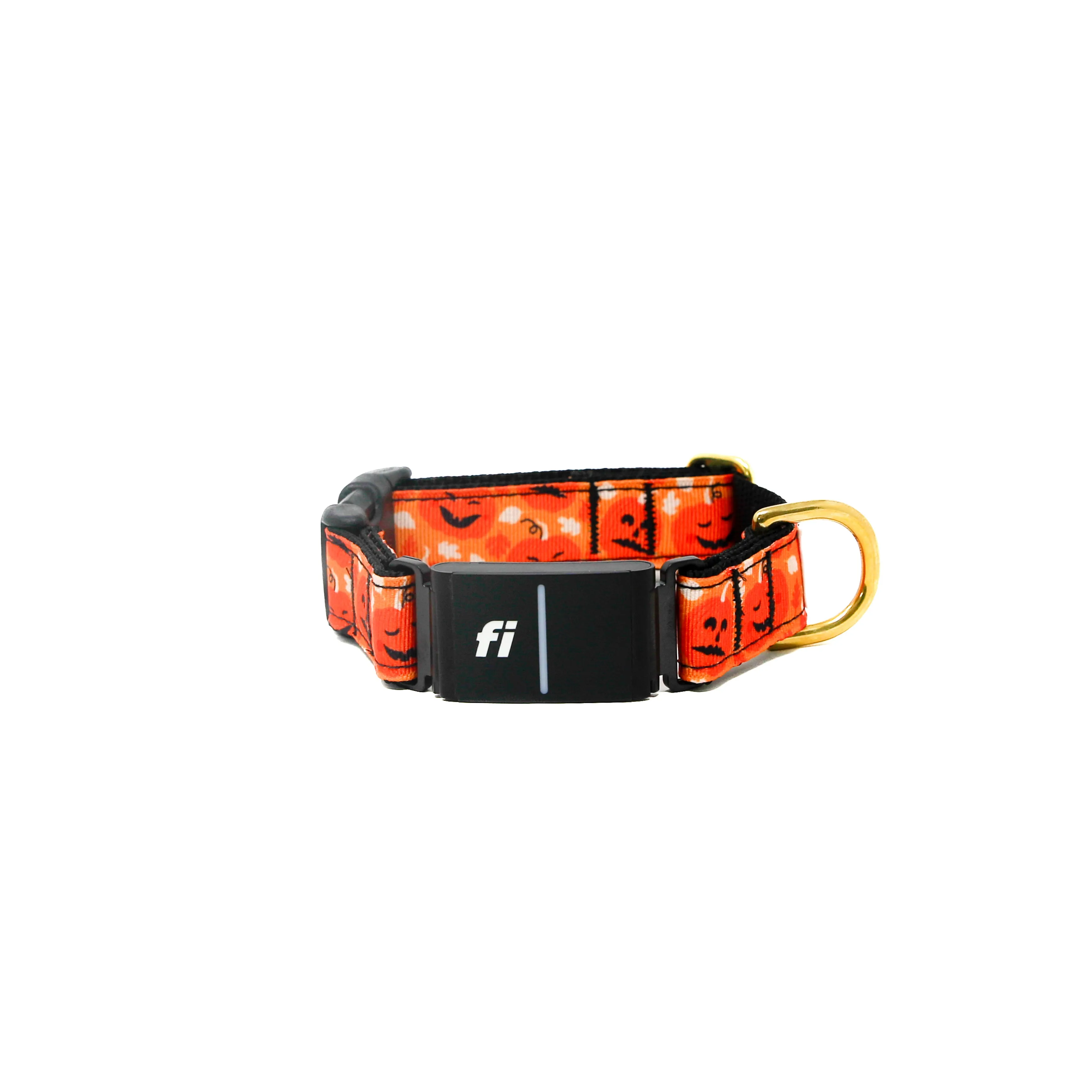 Fi Collar Band - Pumpkin Pup