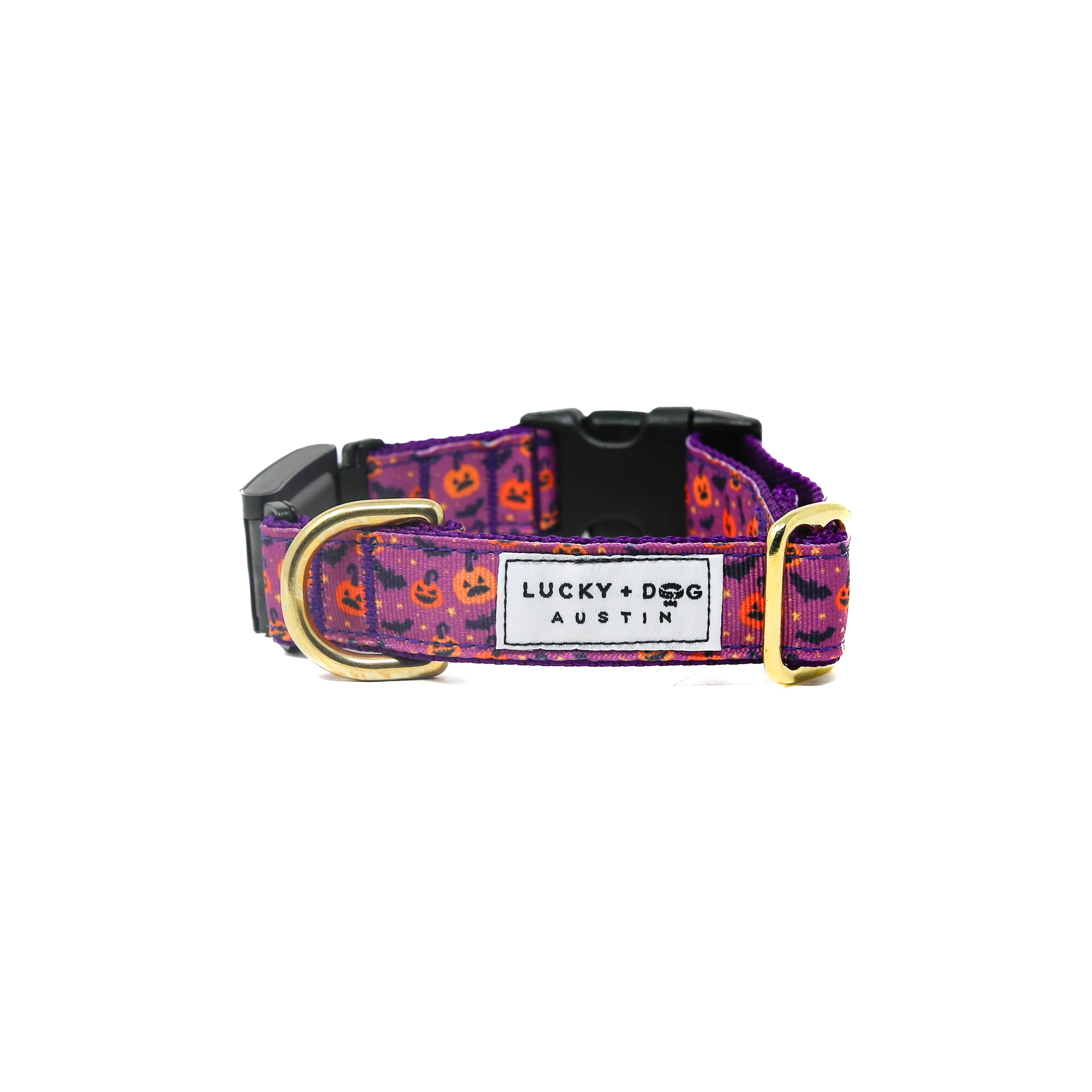 Fi Collar Band - Purple Potion