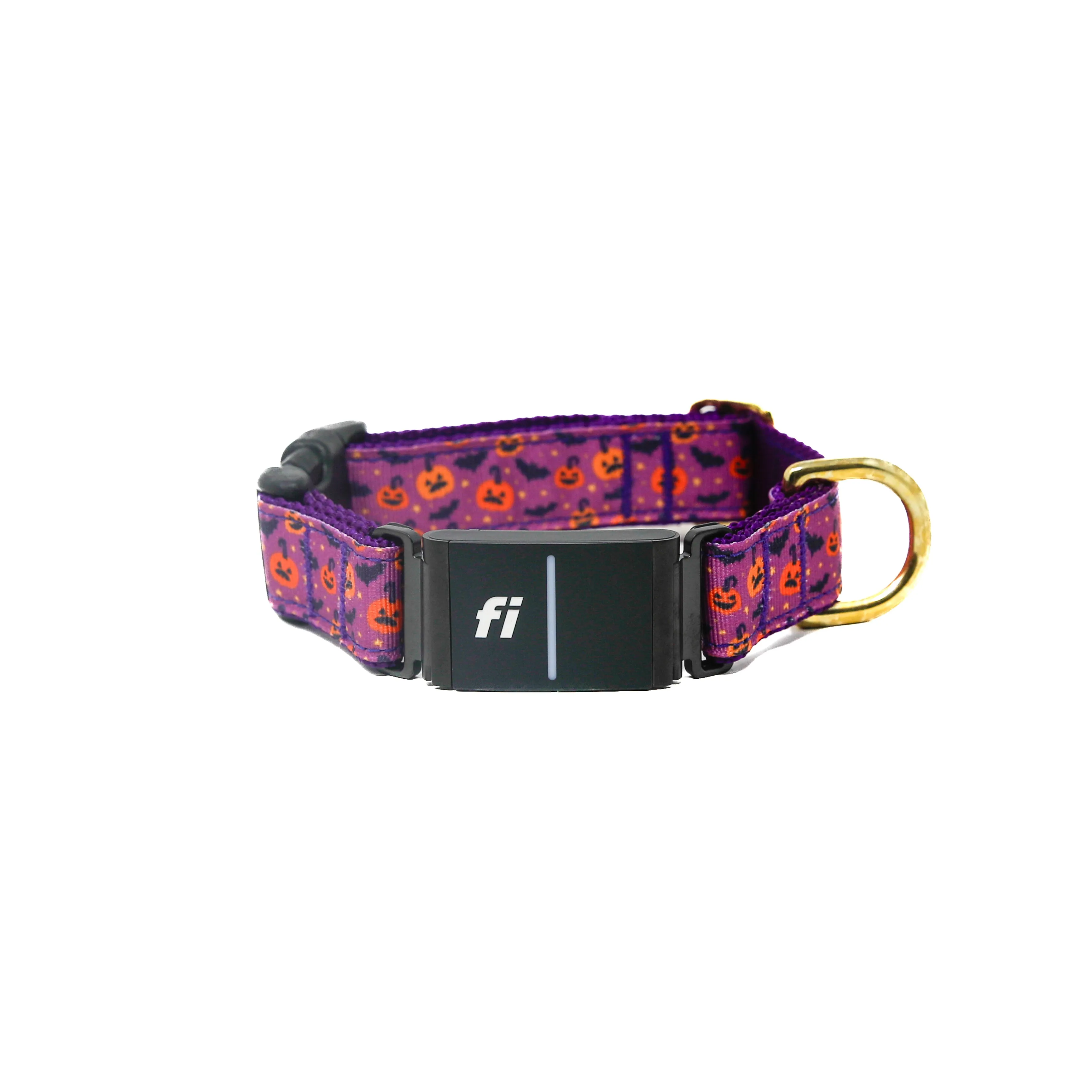 Fi Collar Band - Purple Potion